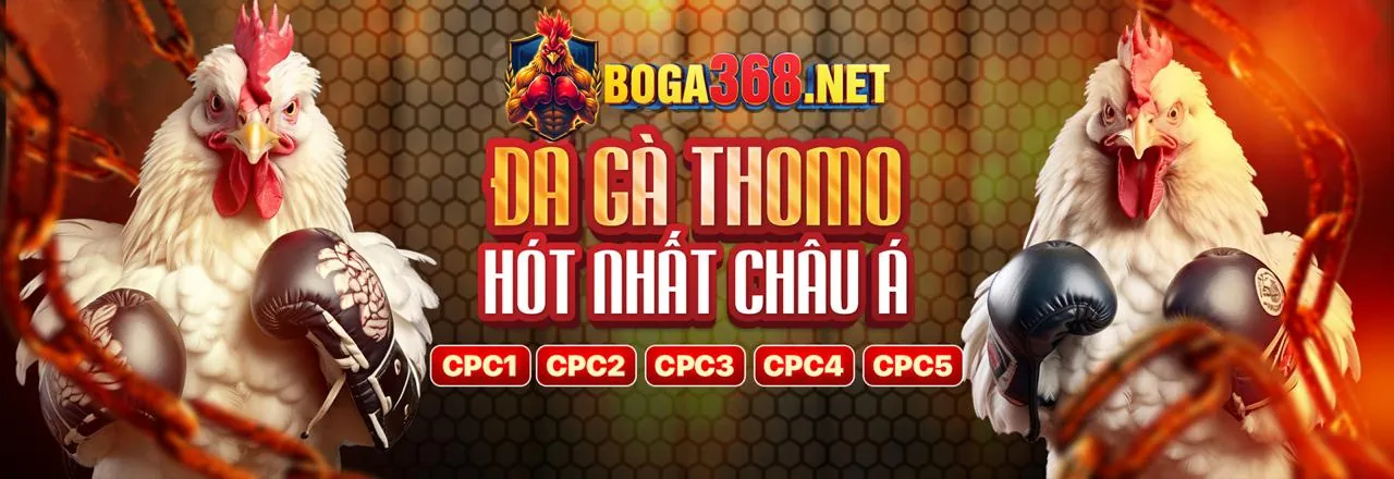 Sân đấu đá gà kịch tính tại 33win99